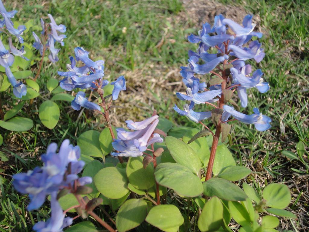 Farm Inn Anima No Sato Abashiri Dış mekan fotoğraf