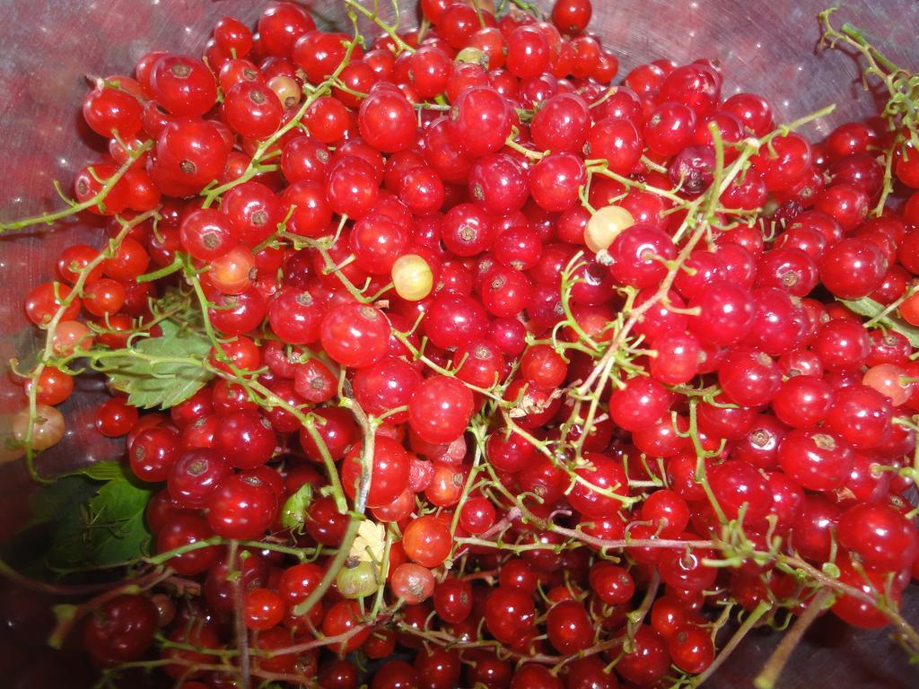Farm Inn Anima No Sato Abashiri Dış mekan fotoğraf