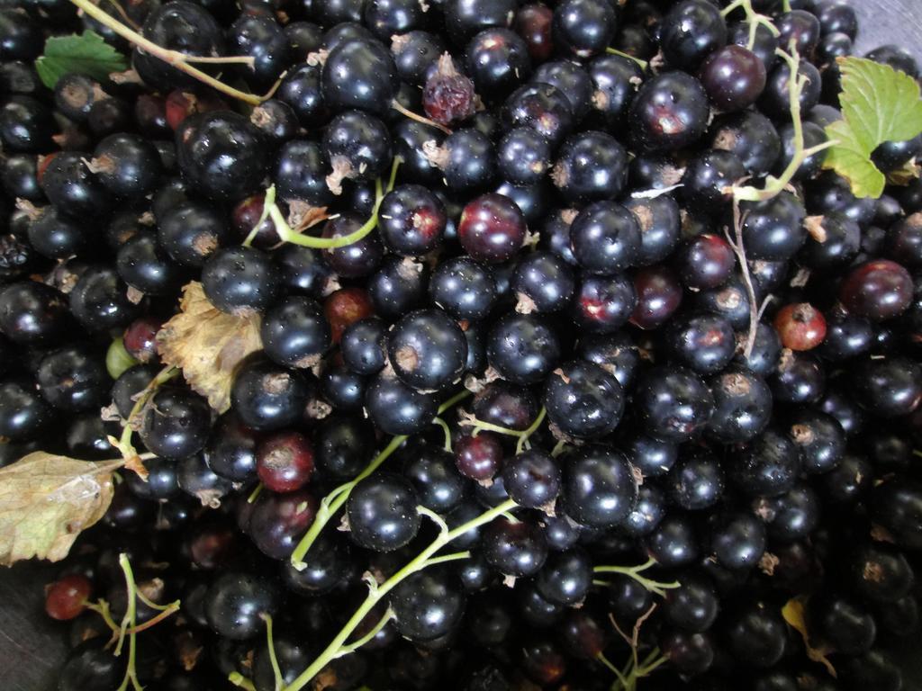 Farm Inn Anima No Sato Abashiri Dış mekan fotoğraf